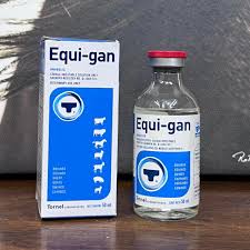 EQUI-GAN