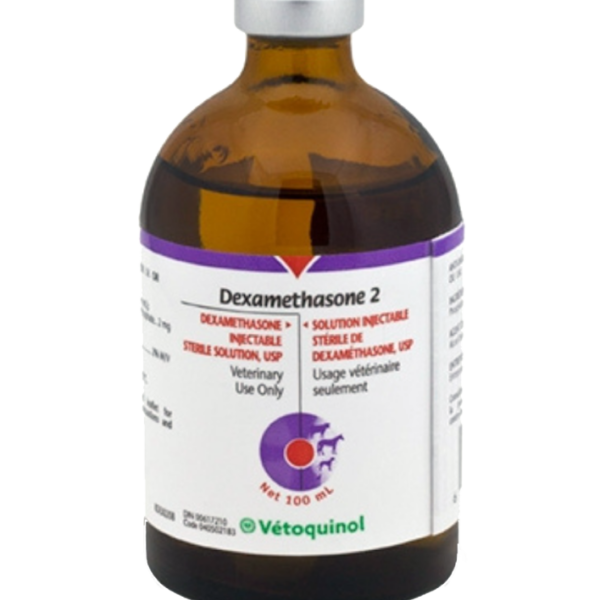dexamethasone injection
