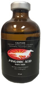 Pangamic Acid