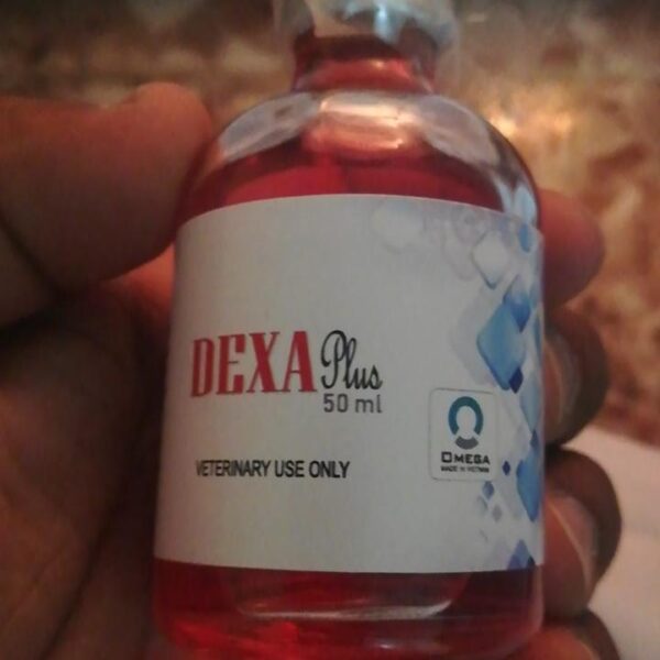 dexa plus