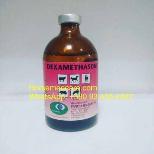 DEXAMETHASONE