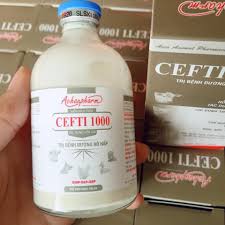 CEFTI 1000