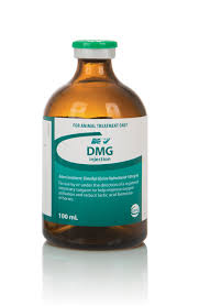DMG 100mg