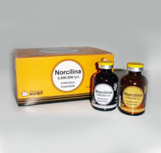NORCILINA X 5.000.000UI – NORT
