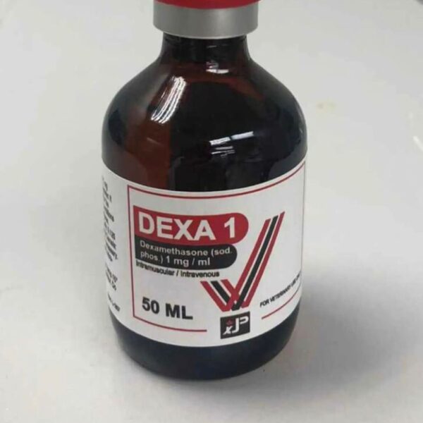 DEXA 1