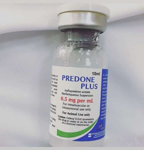 predone plus